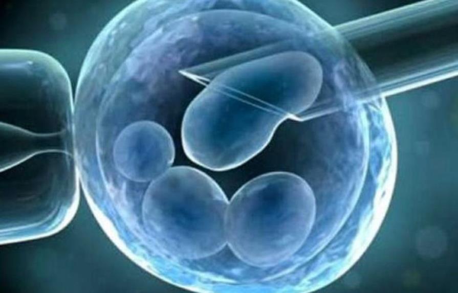 Expertos logran que un embrión artificial acometa el proceso de gastrulación