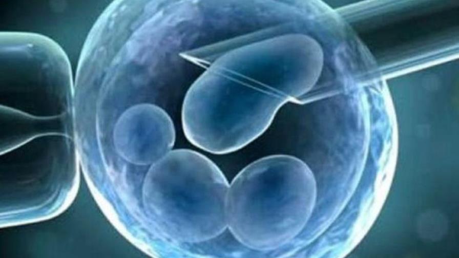 Expertos logran que un embrión artificial acometa el proceso de gastrulación Expertos logran que un embrión artificial acometa el proceso de gastrulación