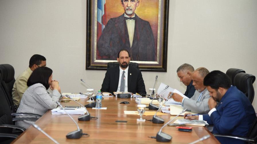 Danilistas proponen que cúpulas decidan método de escogencia de candidatos en Ley de Partidos