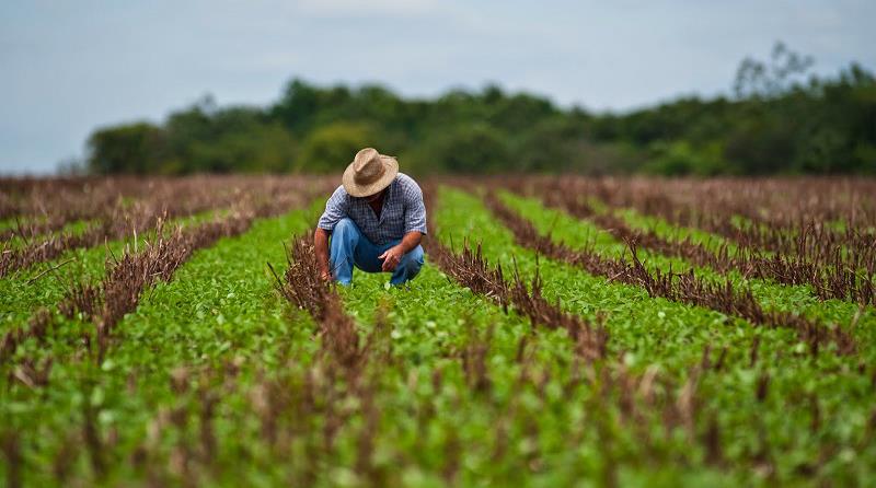 La agricultura no está preparada para el cambio climático
