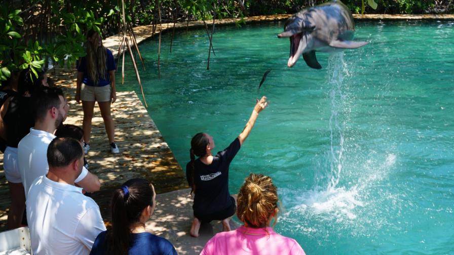 Adolescentes ciegos “descubren” animales con el beso húmedo de un león marino