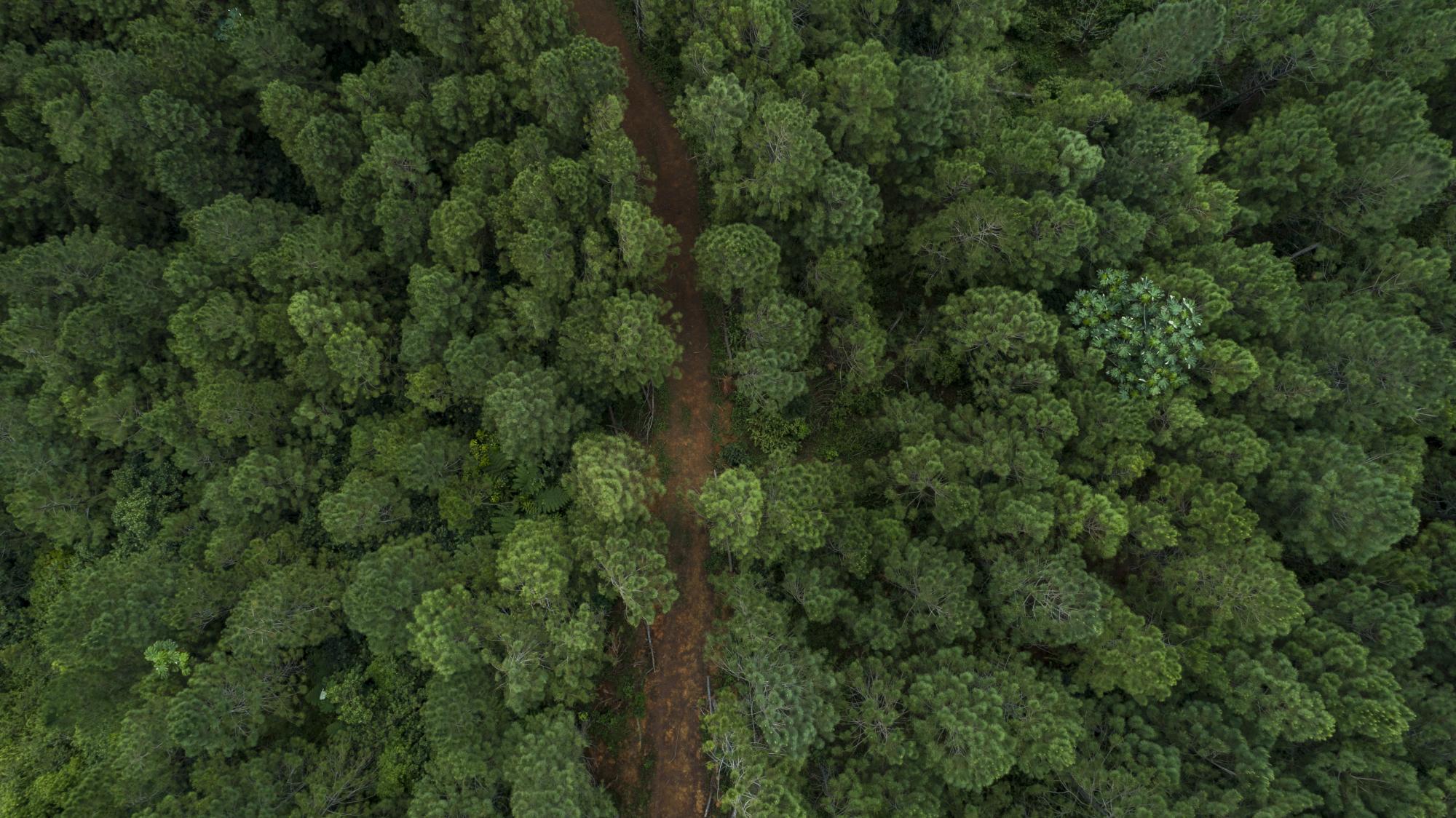 “A mi padre nunca le interesó que se publicitara o se conociera lo que como familia hechos hecho aquí por 21 años”, contó a este medio el líder del proyecto.