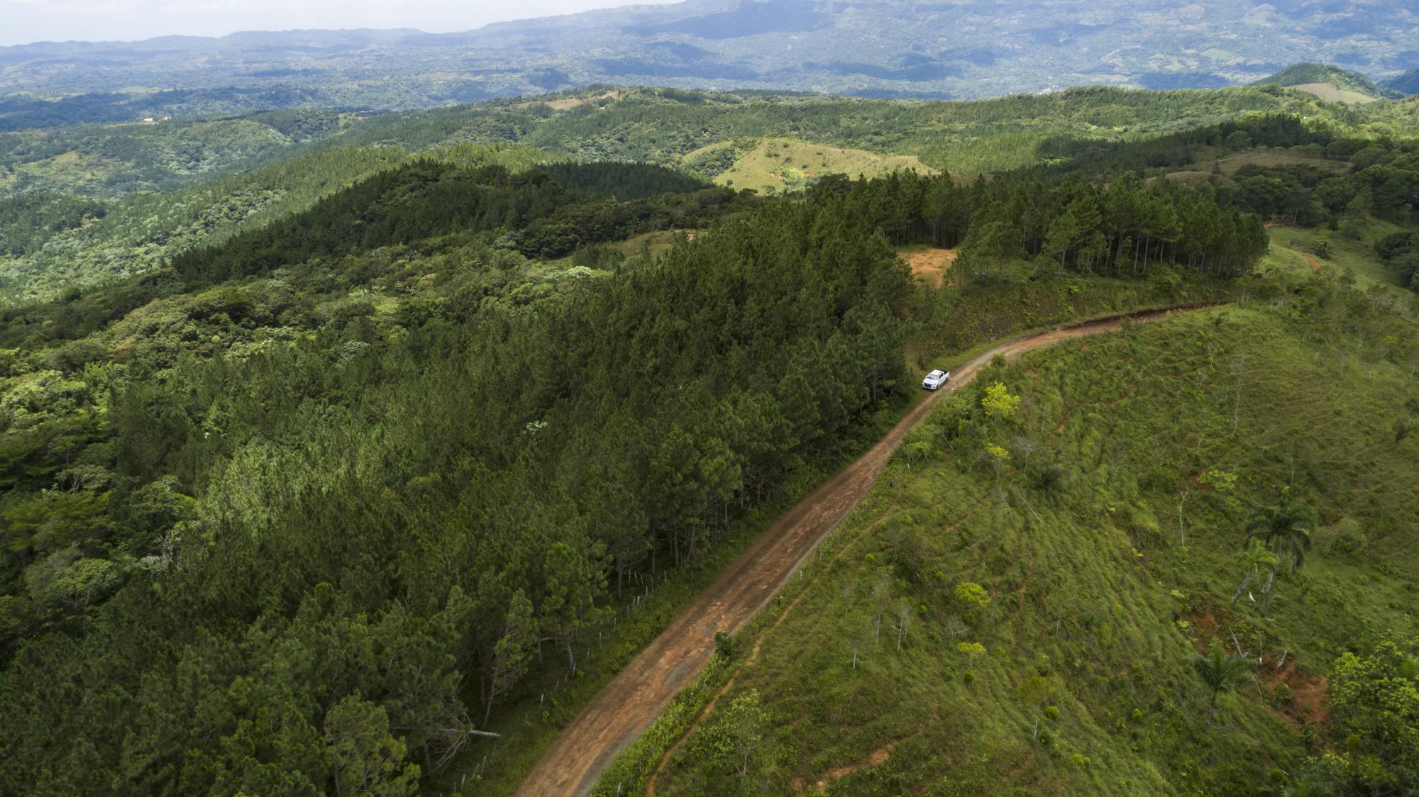 ‘‘Esto es lo más parecido a ver crecer a un hijo, así lo veía mi padre’‘, Ruddy Beato.