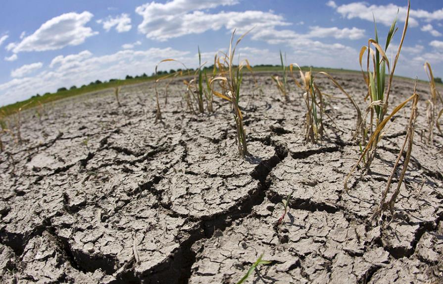 Centroamérica pide ayuda internacional por efectos de sequía