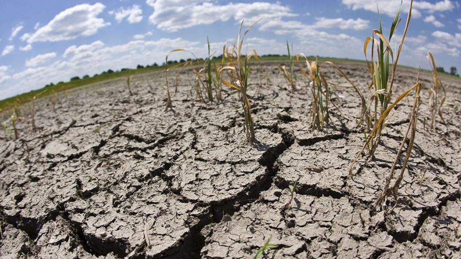 Centroamérica pide ayuda internacional por efectos de sequía