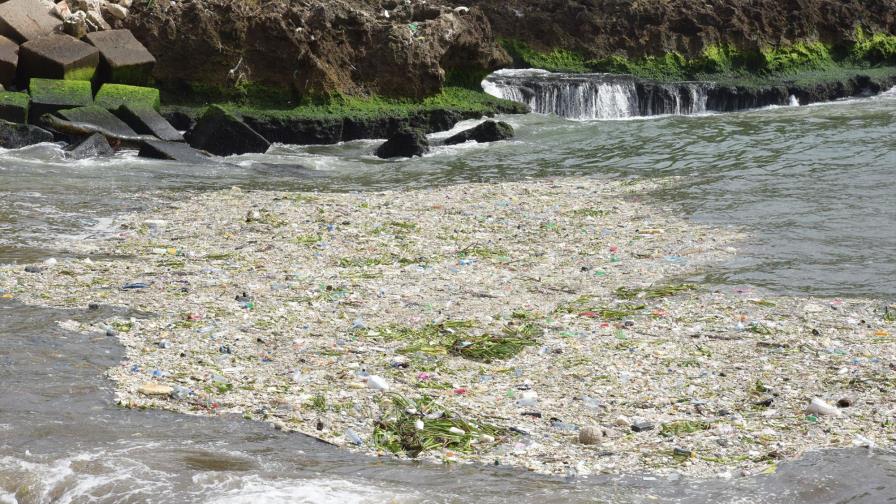 A 22 días de Beryl, todavía sacan basura del malecón A 22 días de Beryl, todavía sacan basura del malecón