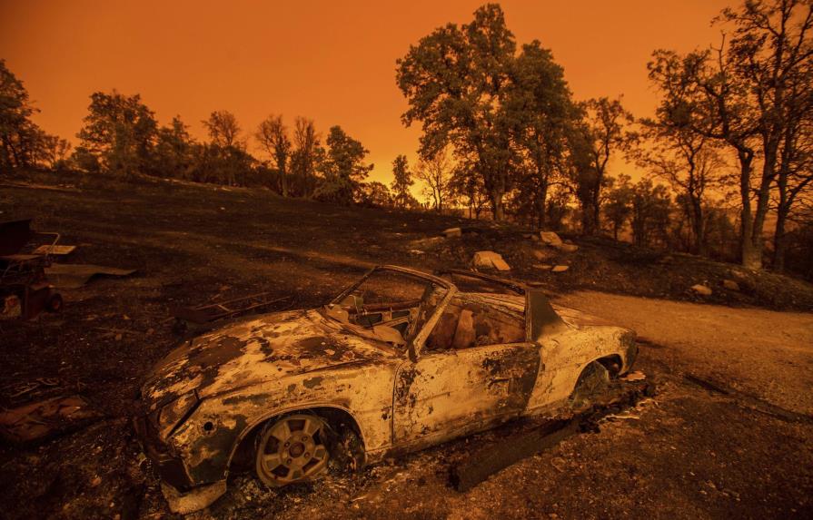 Cambio climático: causante de ola de calor e incendios forestales