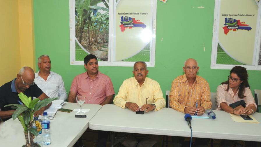 Ministerio de Agricultura aumenta oferta para comprar bananos