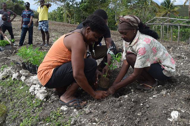  FAO pide 20 millones de dólares para ayudar a Haití
