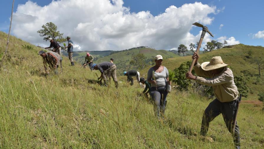 Proyecto de la ONU busca reforestar áreas de República Dominicana y de Centroamérica 