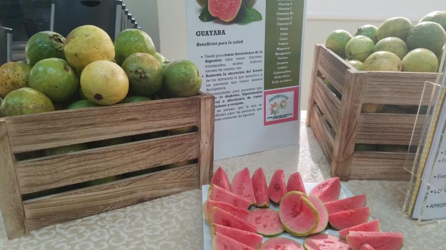 Productores y procesadoras de frutas podrían mover cerca RD$2,720 millones con alimentación escolar Productores y procesadoras de frutas podrían mover cerca RD$2,720 millones con alimentación escolar