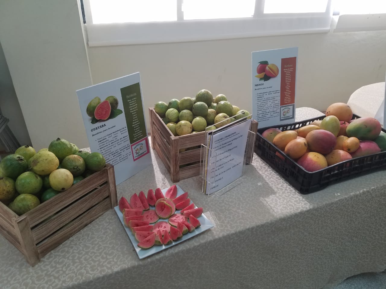 Frutas domininacas.