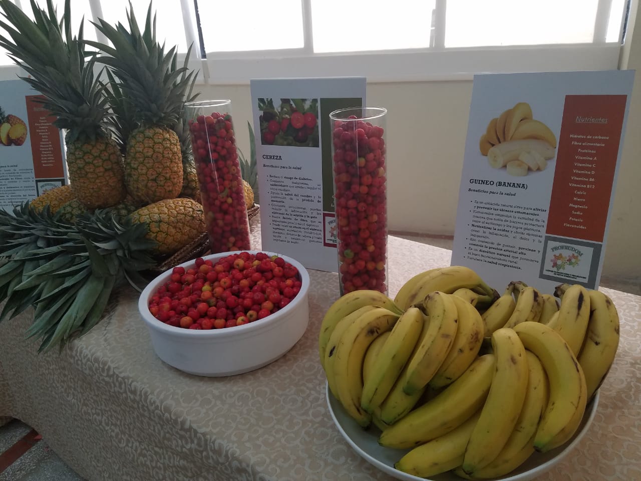 Parte de las frutas mostradas en la JAD que se producen en RD