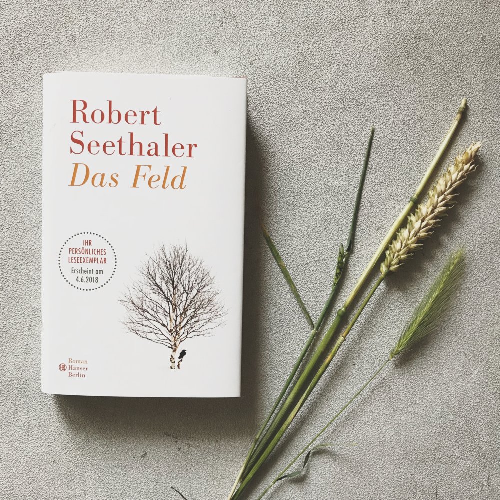  Das Feld - Robert Seethaler (Hanser, Berlin)