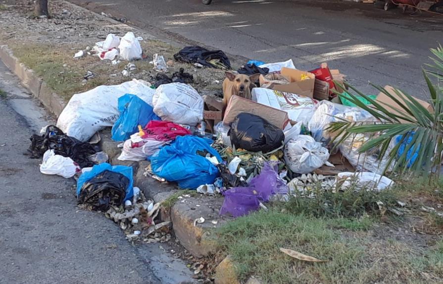 Afirma basura arrabaliza ciudad Santa Cruz de Barahona