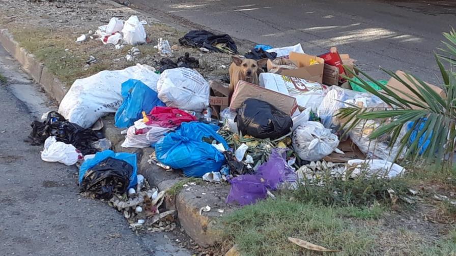 Afirma basura arrabaliza ciudad Santa Cruz de Barahona Afirma basura arrabaliza ciudad Santa Cruz de Barahona