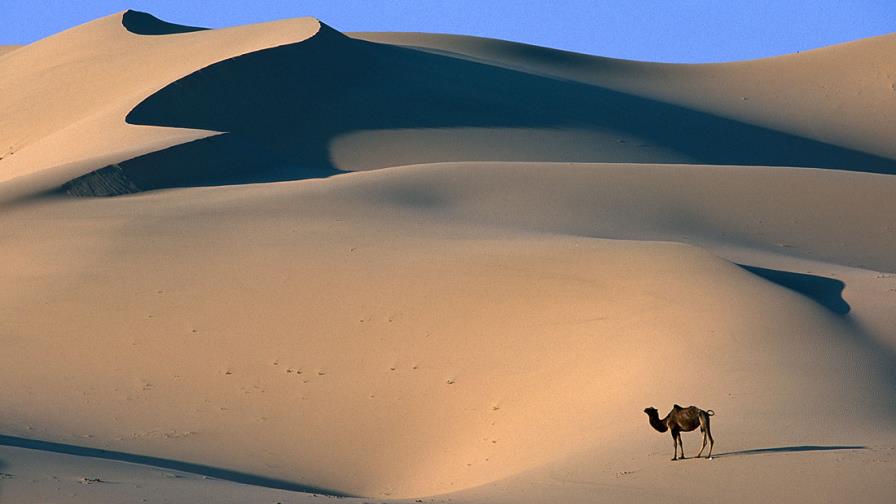 China abre primer centro de cultivo espacial para evitar expansión del Gobi China abre primer centro de cultivo espacial para evitar expansión del Gobi