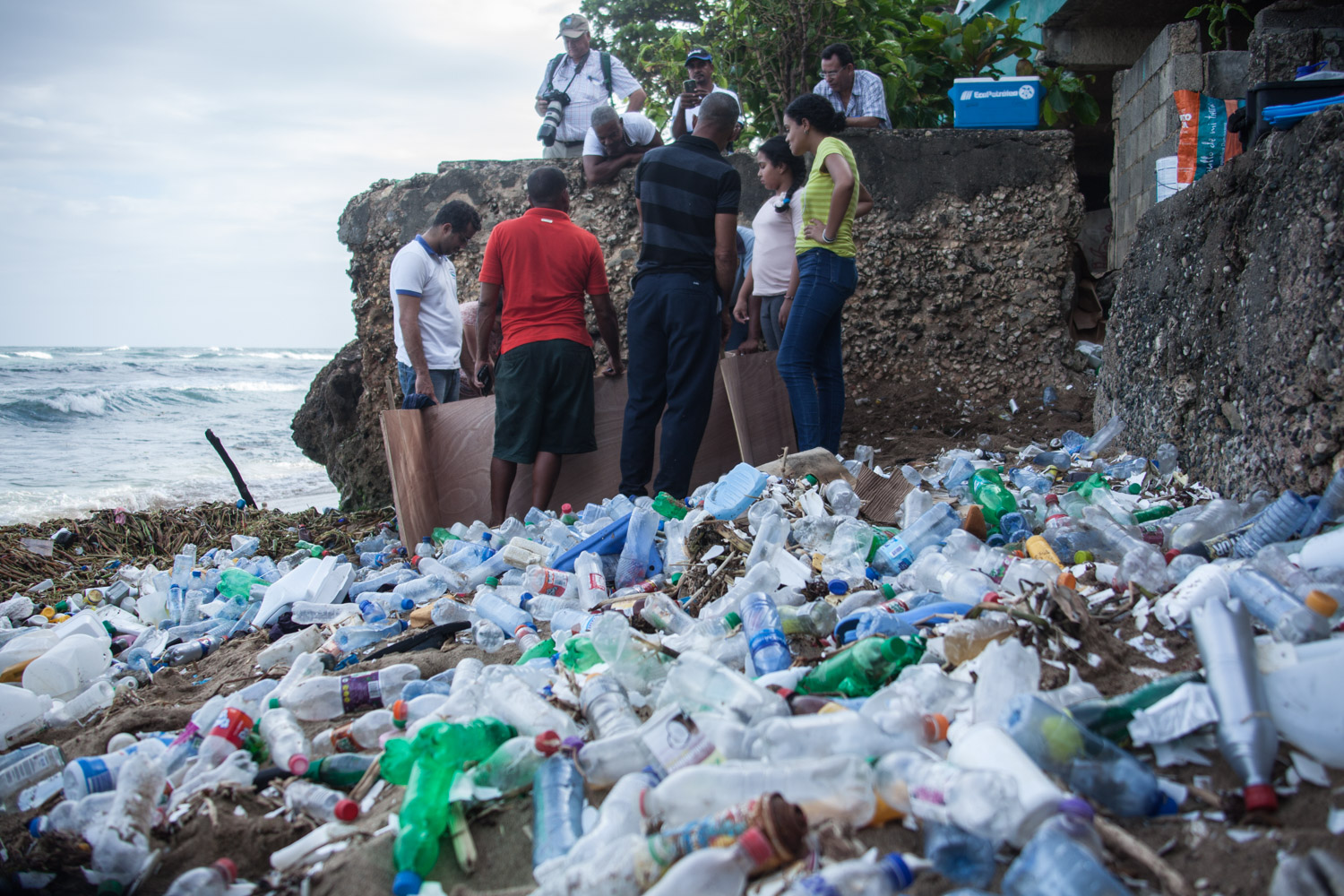 La tortuga anidó entre plásticos.