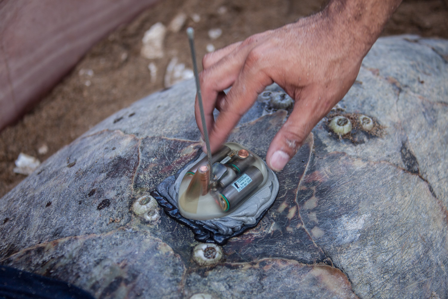 GPS colocaldo al carey.