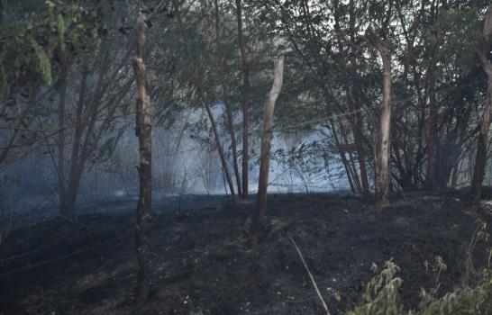 Bomberos sofocan fuego a orillas de la carretera Sánchez