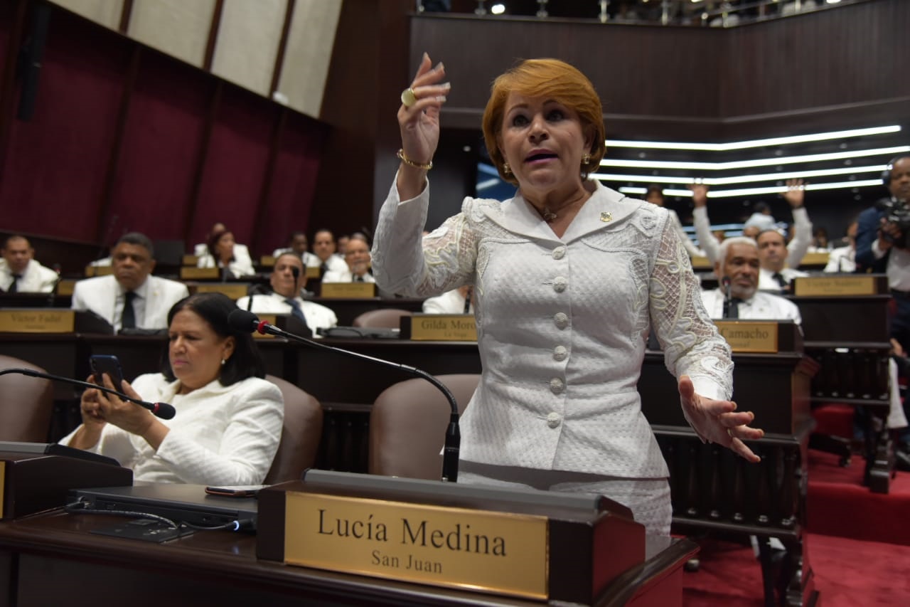 La diputada Lucía Medina llamó a Fidelo Despradel a respetar los reglamentos de la Cámara, y sostuvo que después que una plancha era votada por la mayoría no debía someterse otra.