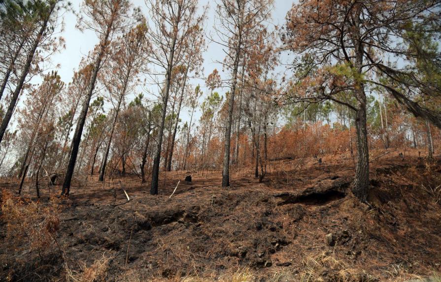 Medio Ambiente dice controla fuegos forestales