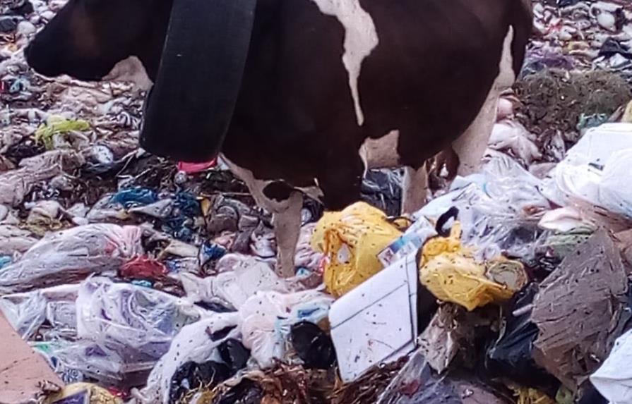 República Dominicana necesita una ley de manejo de residuos sólidos