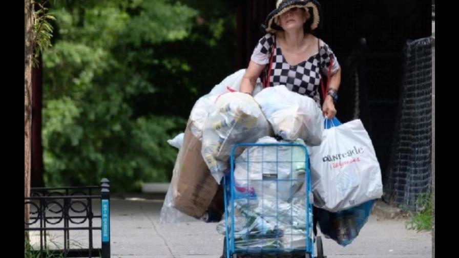 Millonaria recoge latas en basureros por 20 y 30 dólares al día