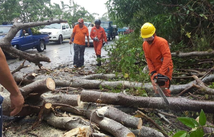 Ventarrón derriba árboles y obstruye tránsito en carretera Loma de Cabrera-Restauración