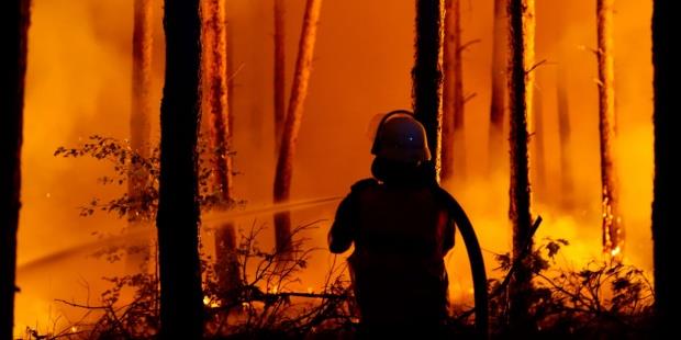 Incendio forestal detona municiones enterradas en Alemania