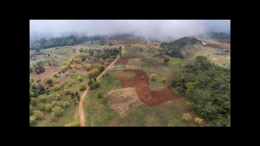 Academia de Ciencias denuncia cuenca del rio Mulito está devastada