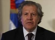Organización denuncia ante secretario de la OEA supuestos planes reelecionistas de Medina