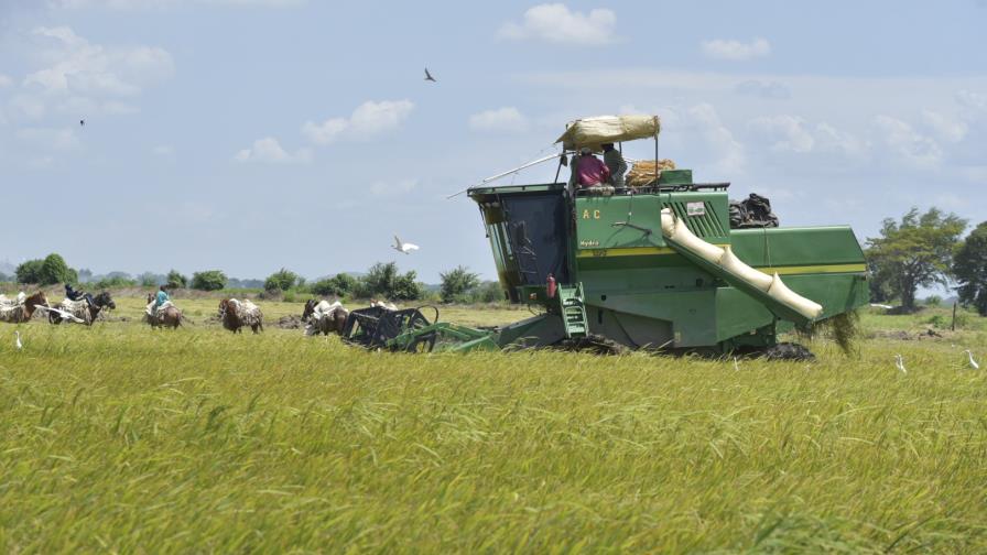 Sequía sigue afectando a productores de la Línea Noroeste