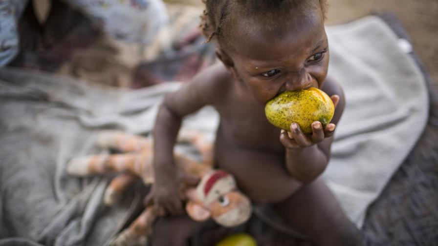 Obesidad afecta a más de la mitad de la población de América Latina y el Caribe Obesidad afecta a más de la mitad de la población de América Latina y el Caribe