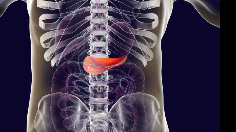 Portugal avanza contra cáncer de páncreas con nuevo centro de investigación