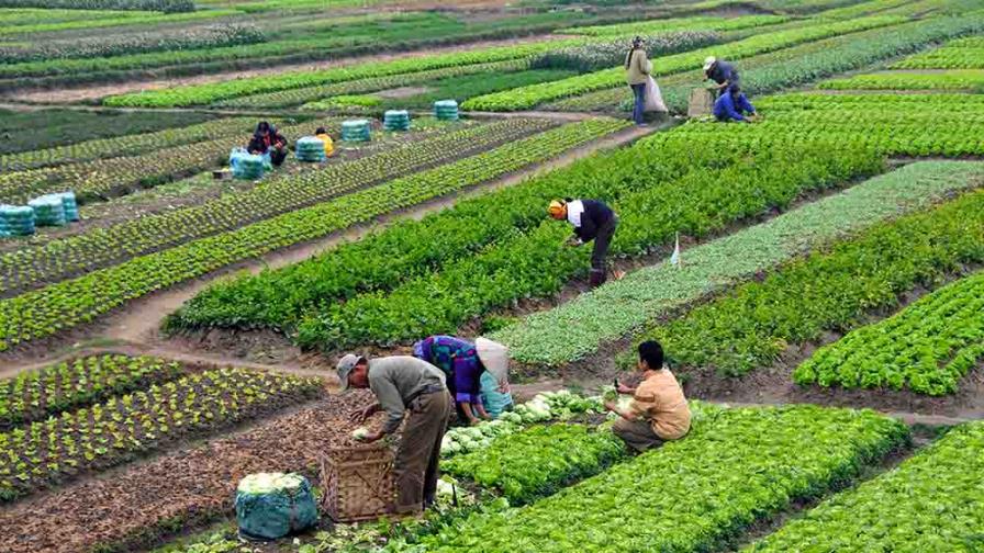 FAO impulsa agricultura familiar para alimentación escolar en Centroamérica