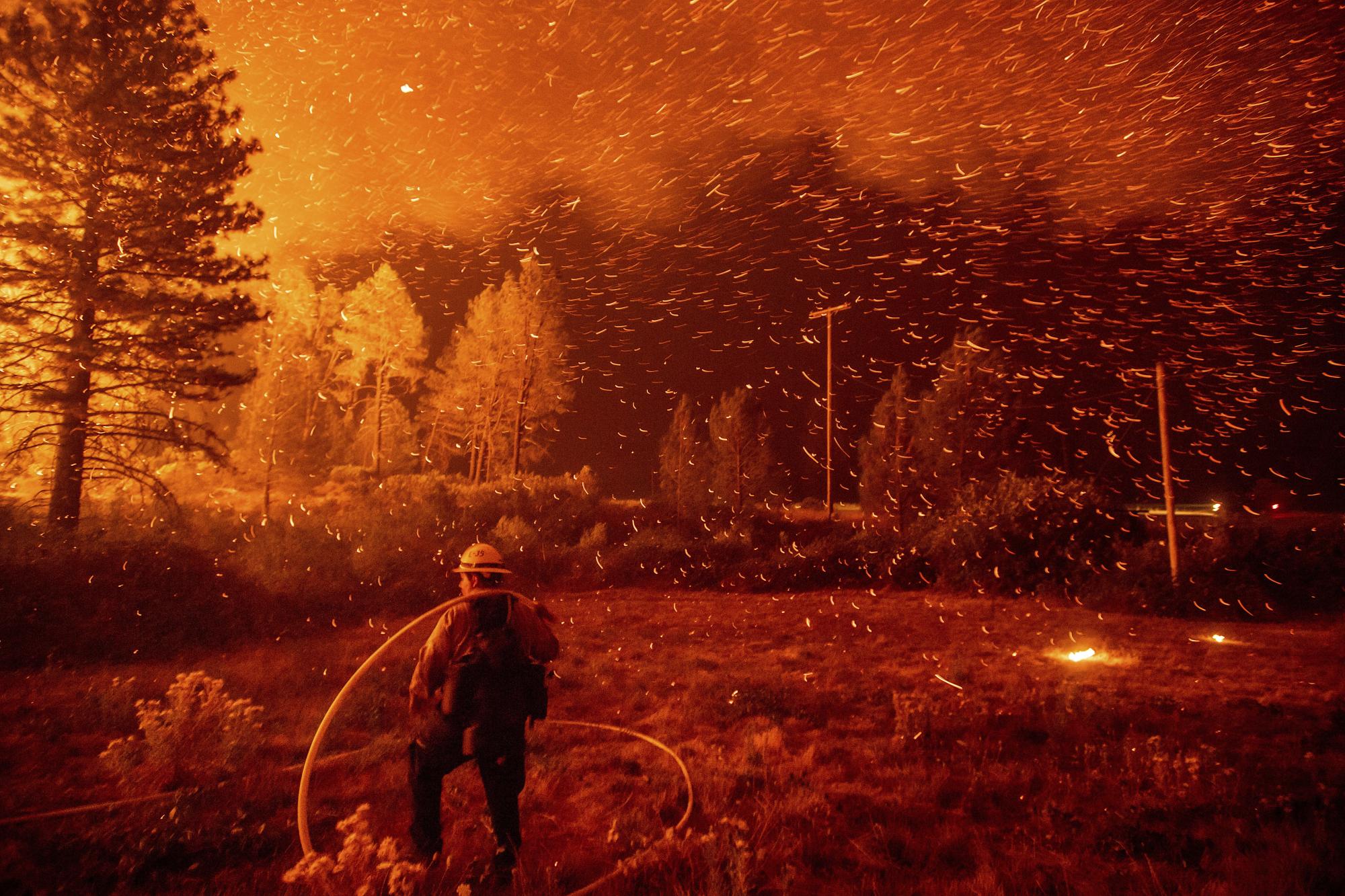 Se queman los bosques en California 