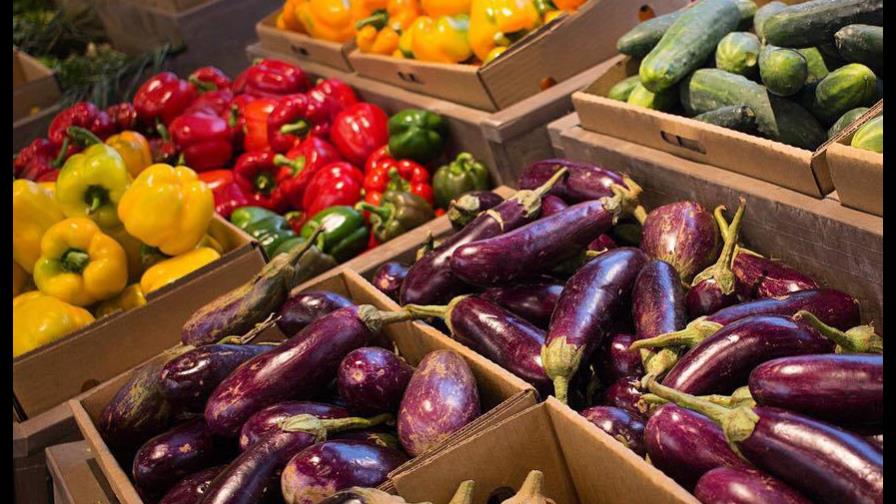 CEI-RD explora vías para ampliar exportaciones de frutas y vegetales a España CEI-RD explora vías para ampliar exportaciones de frutas y vegetales a España