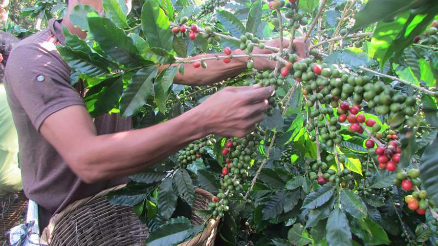 Préstamo por US$150 millones para proyectos agrícolas Préstamo por US$150 millones para proyectos agrícolas