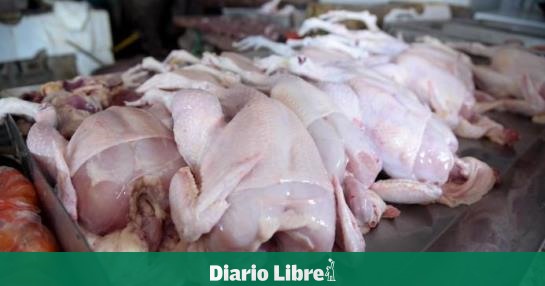 Precio del pollo no baja a pesar de sobreproducción - Diario Libre