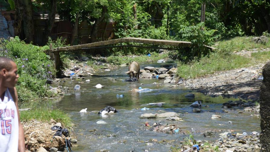 Pocilgas y residuos de Villa Altagracia contaminan las aguas del río Haina