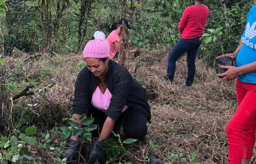 Gobierno destaca impacto de proyecto Agroforestal en provincia Hermanas Mirabal 