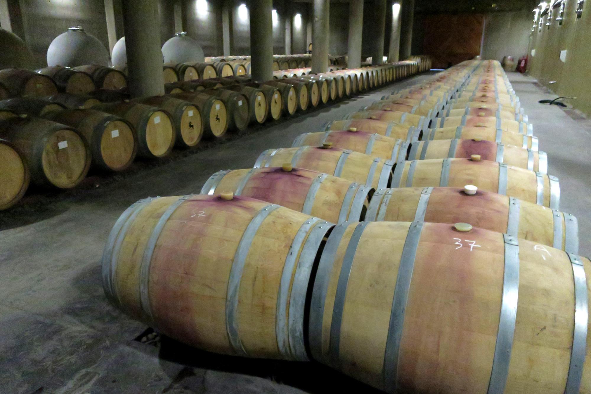Producción de vino orgánico 