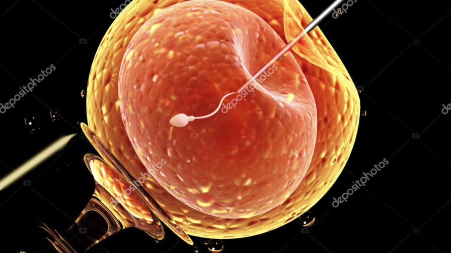 Organismo oficial francés a favor de inseminación a mujeres lesbianas y solas