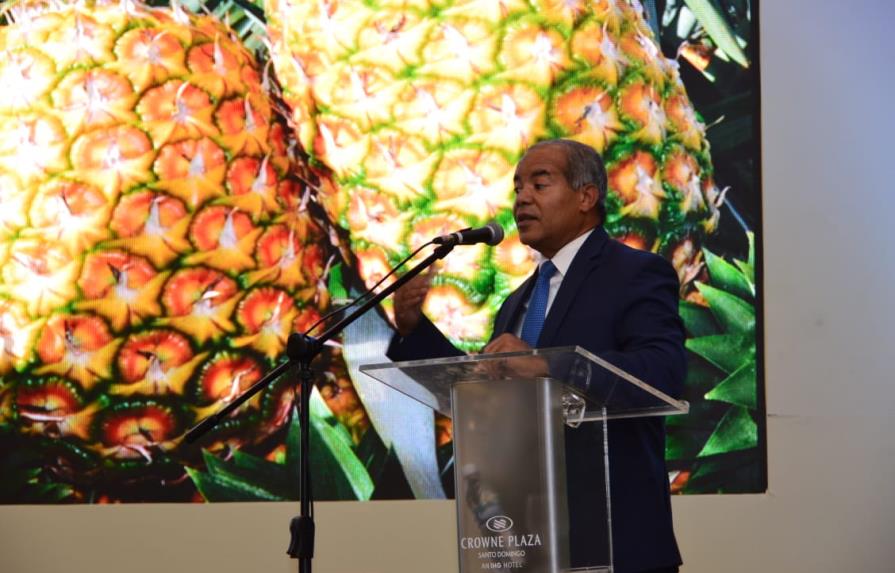 Producción de piña aumenta en la República Dominicana