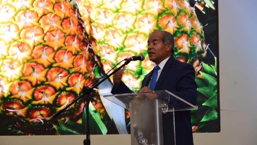 Producción de piña aumenta en la República Dominicana Producción de piña aumenta en la República Dominicana