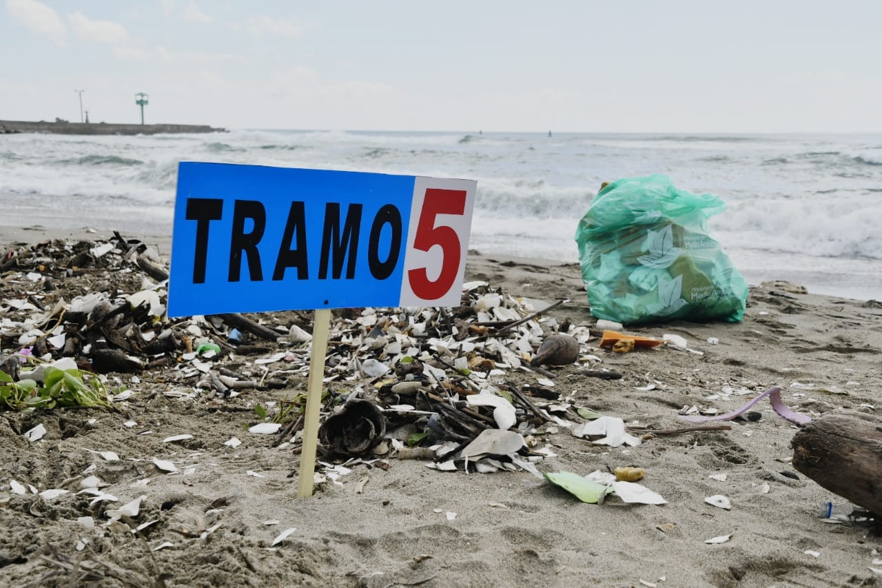Voluntarios limpian la playa El Gringo, en Haina. 