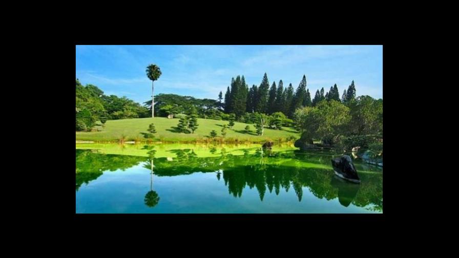 Día Mundial del Hábitat, cuatro claves de escritura