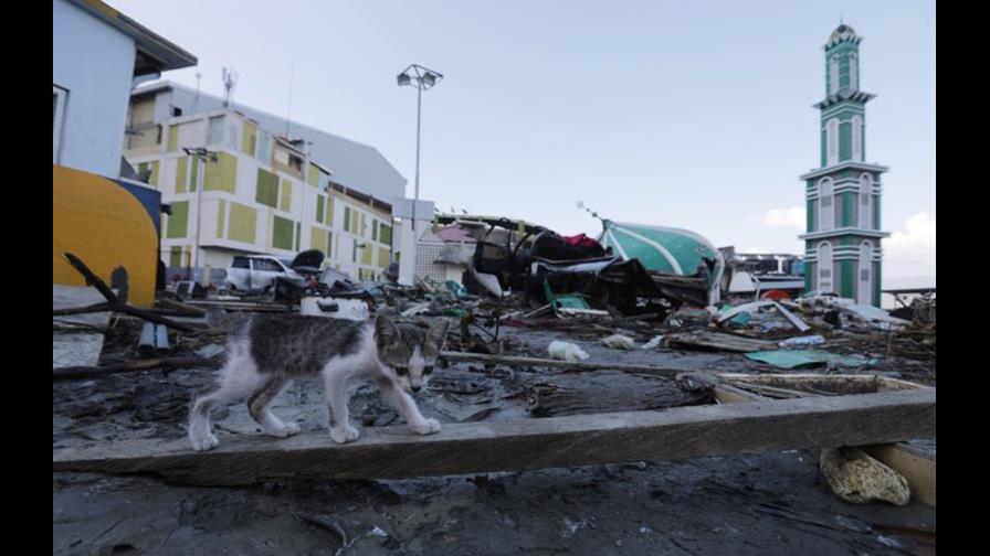 La asistencia sigue colapsada en Célebes tras tsunami que causó 1,200 muertos