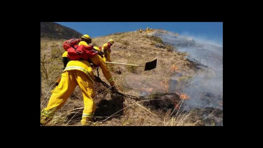 Dan por extinguido el incendio en la reserva natural Bosque de Pómac, de Perú